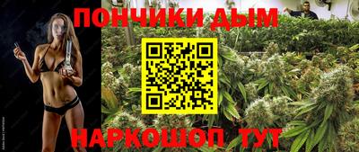 прущие крисы Беслан