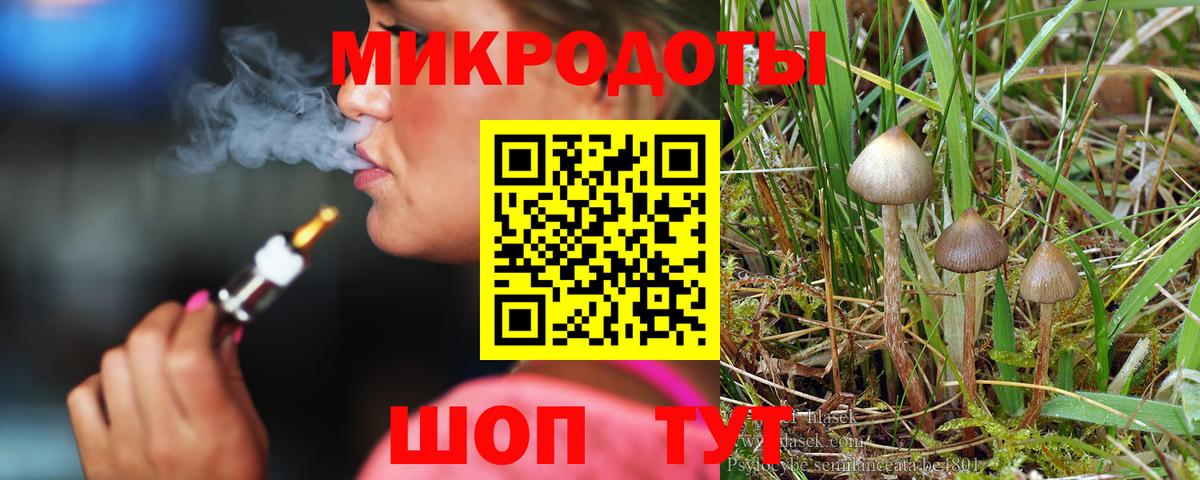 Псилоцибиновые грибы Psilocybine cubensis  Вход с VPN  Домодедово 