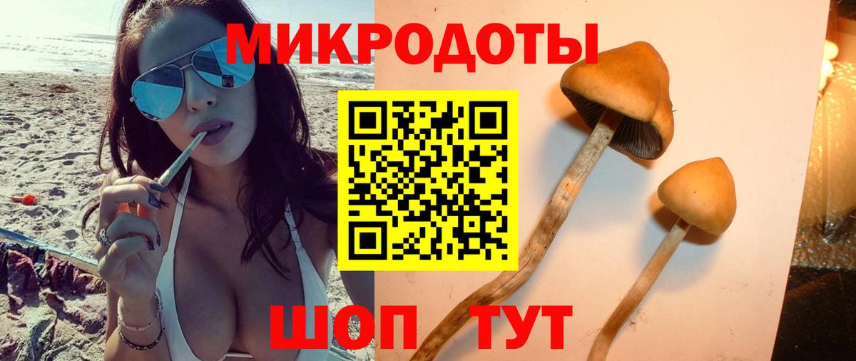 Галлюциногенные грибы Magic Shrooms Домодедово