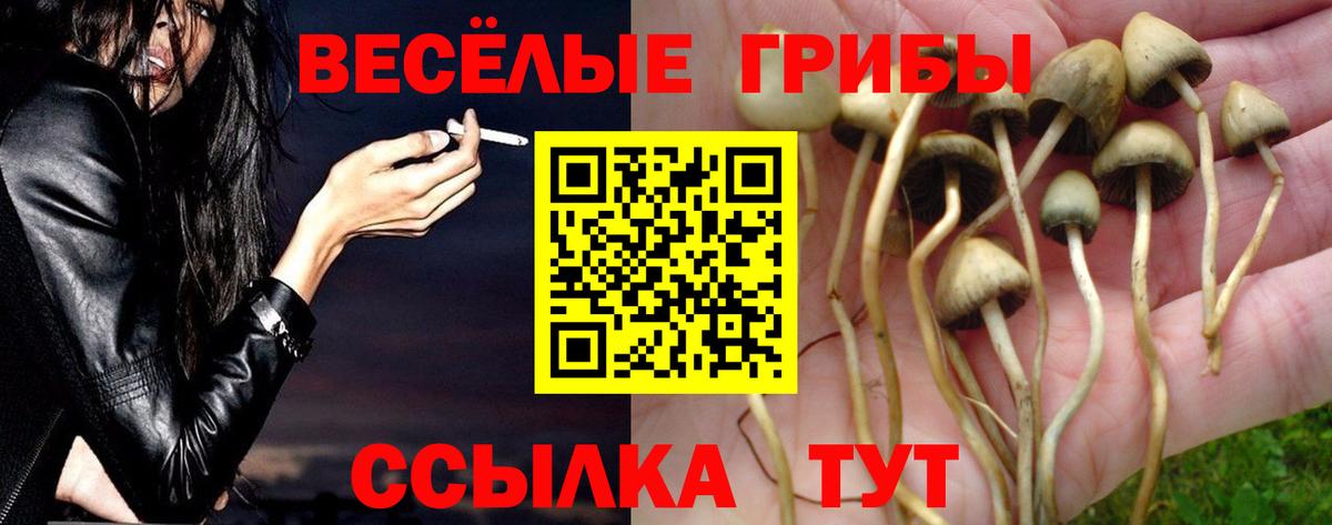 Псилоцибиновые грибы MAGIC MUSHROOMS  Домодедово 